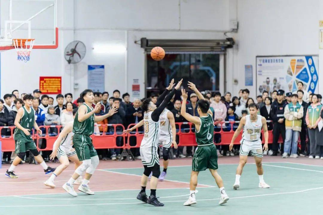 关于欧锦赛资格赛意义非凡，热度持续攀升的信息